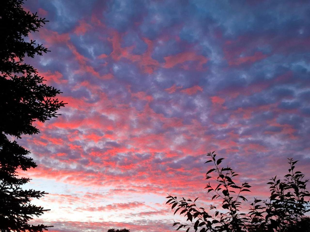 Odins Have Lägenhet Arrild Exteriör bild